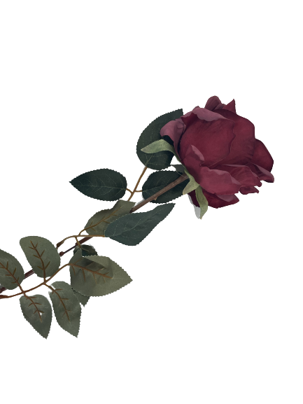 e044299c0ee6ce0ad94838a8d6729d4d