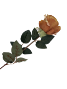 7bc95c3f4bec92f3f1b60c1cc8aa0a20