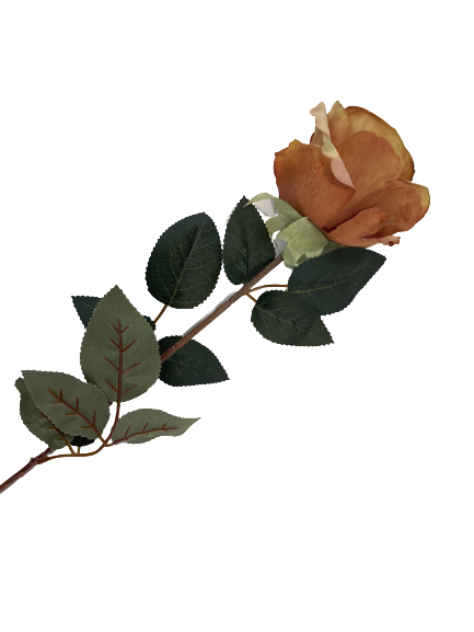 7bc95c3f4bec92f3f1b60c1cc8aa0a20