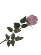 984728c7be34ca5afd7483e86cce4038