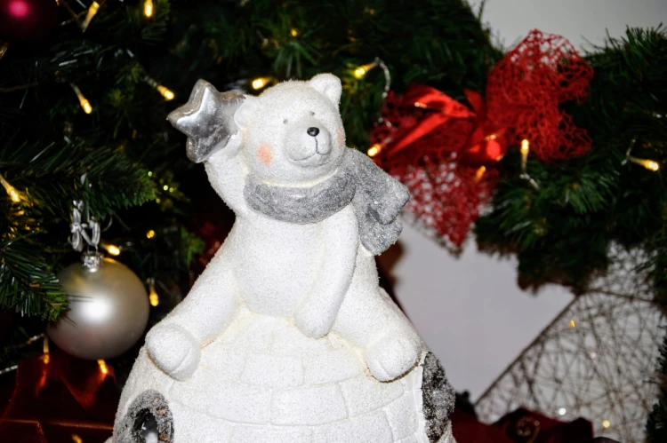 ec2eb73bd74b4d350ce982fe34de0a72