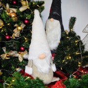 2b51c910ff24fd4a1073a0ba300e888c