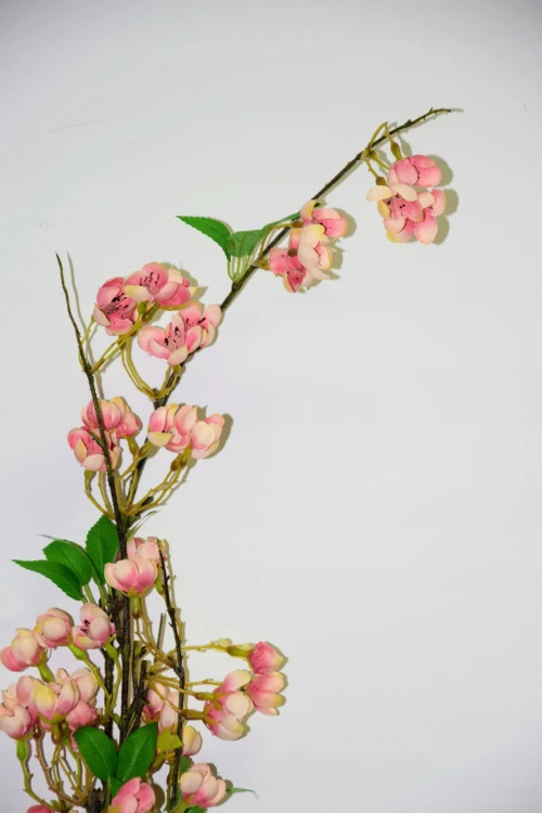 d4bd8ce21713208dbf56fe41a44a4871