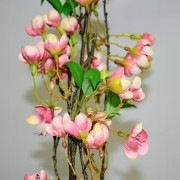 fb16e78d34f68d6f699f09e94abbda56