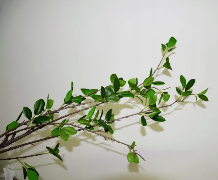 2e2b6a71cc5a77f7bada4581d32d31c7