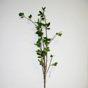 395d84fee0e232f73dcdb893c31481db