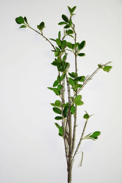 2fe89c063f13831682633f6cec2d1b49