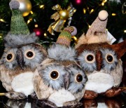 4d3a5245dddb232ed97e3cebdcef8d9c