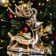 dec7d610837e2f0ec5211fc60393eed9