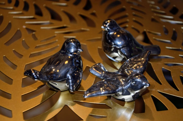 e16fc0550a1e7515ecb4e986004fbee5