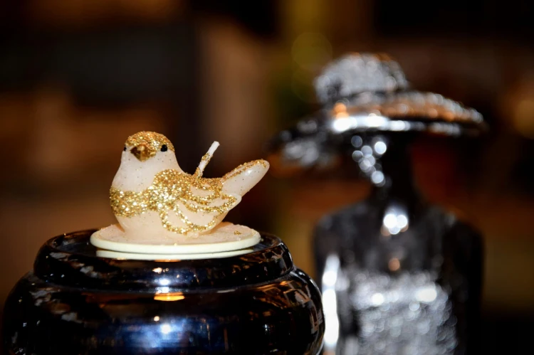 42daa3af1a1d16fd92f293636f761fd4