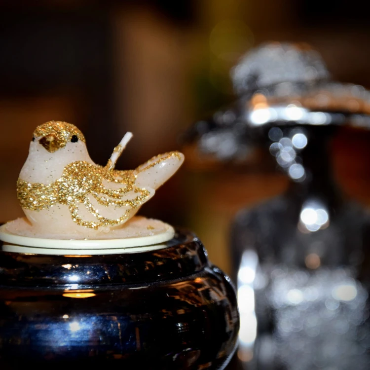 01736fe2c69f1d67edac17b2e4211dc7