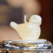 36c3df835e77f95fa9af01318fbd9119