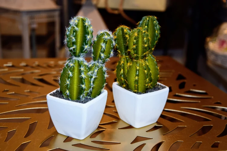 530c2234cab1dc14ea84d8a9a0e82e7b