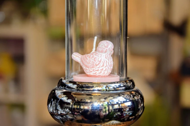 5efc8c197660c5cca0ceee64db848780