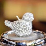 ca858f638cba8846948b6cd4c3ab484f