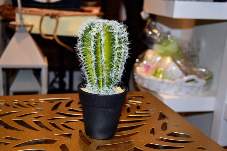 0651e0b90551bc9999f9516ddc0c6eb6