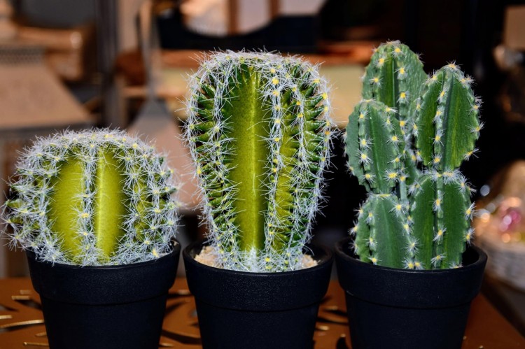 2e0b5b7cacd94aed34217f4b794f059f