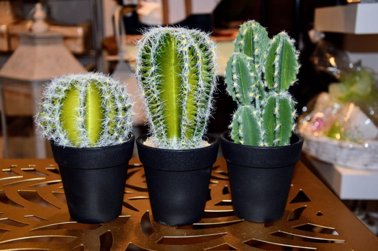 70fc9d36e470b4e91b014a085f0adba2