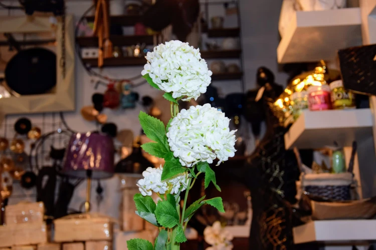 cecee7feb46b74b59cd261d6ce9bac54