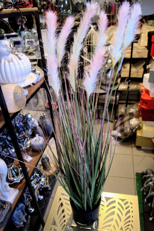 1b962e4f3bca6c6f7c550e2c51b7ad84