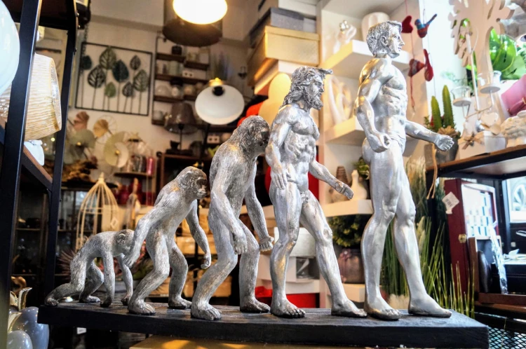 89c5f5b4c2f228c50e0f37e097741a24