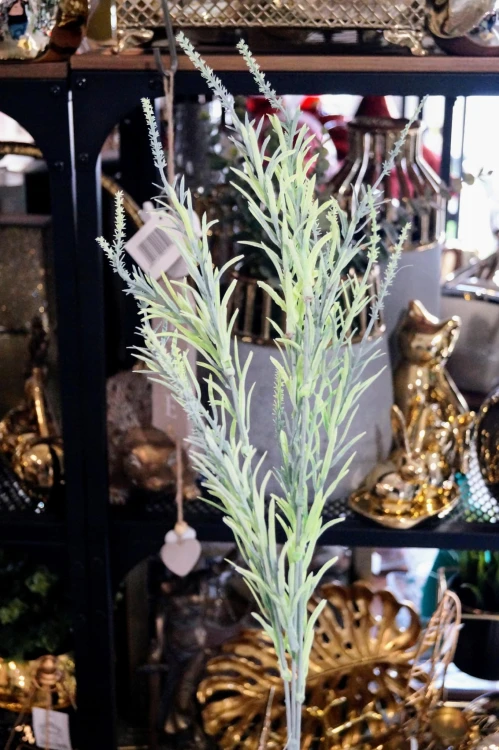 e41443359291e33d0537031c8a170a14