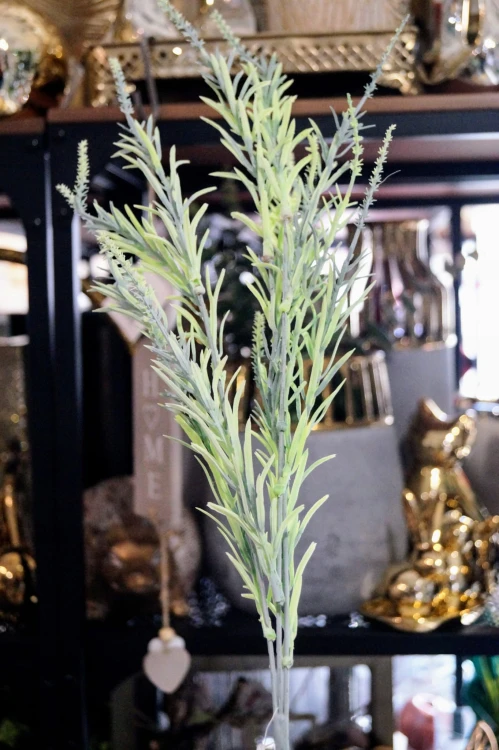 1d0693a935aba7f99e3eb27560173d21