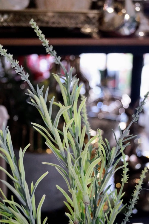 11d47fb126b0bca23ef9482fb9b64c1d