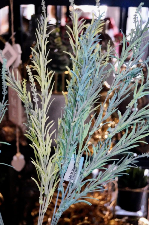 57c9c9951fc7bb8b9469737355436f04