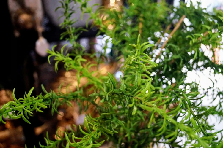 4c58275b59fd9c7c5d5db532e79c712a