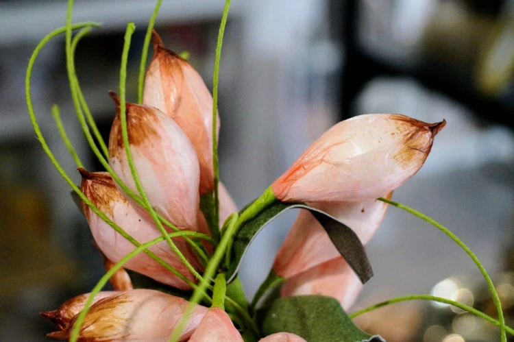 e5a62d1cc841c65bdf9507781a9ed722