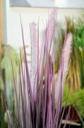 7ec27a024cdd52518ff2d6f2710bcc31