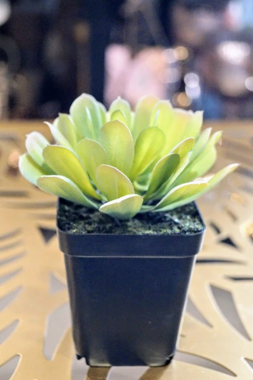 8da219b85b8f2f13ae000effe3f207b6