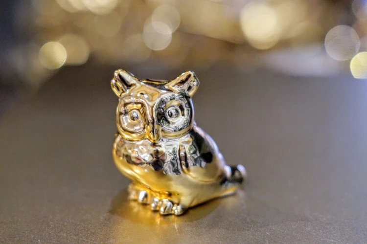 7311a5e3954795b03bb5f632634cc305