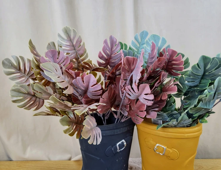 07ac4c5949756fa7408fa432aa467535