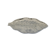 72abb0a54346c3e4cd9f136c1d1f88dc