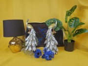 edb7054c897c3b037099ba8c262effb9