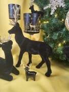 09d56743b6318617e5de3a0a8d3337d0