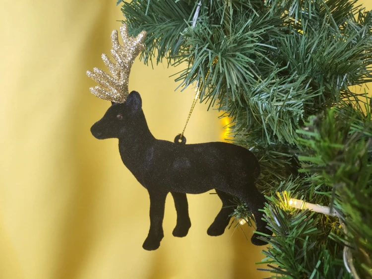 dbafdfd3cfa9f9059b00f70f83675174