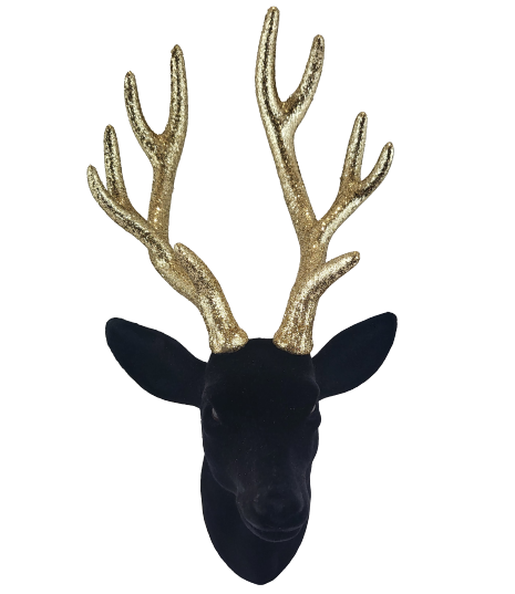 71881903a1714cec469cdbae1deac274
