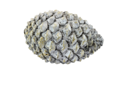403c3dba389971e065f0f6fb7bb9c929