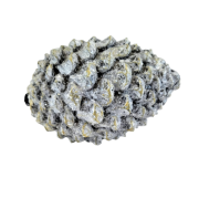 0a42fc3e46eeb16a8fb1b0066fc9c4fe