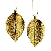 dd9d2b0bf6bae89b12f715915ab049aa