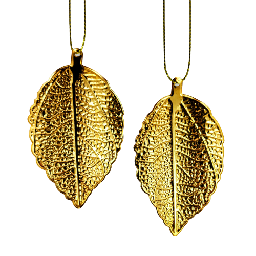 dd9d2b0bf6bae89b12f715915ab049aa