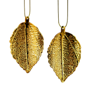 7afc3eb25bfa59942b892fc459eb54dd