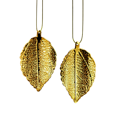 ec0507973e1dc8b72ff6fe15c02ec43c