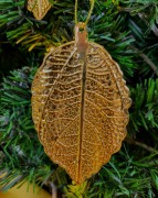 ab8b63edc3963aa17a471c1f53878752