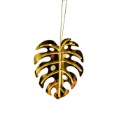 a187fcecb04021d20a22e440753b20c2