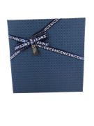 1dc811e5a15a462a8cc79f61baafd191